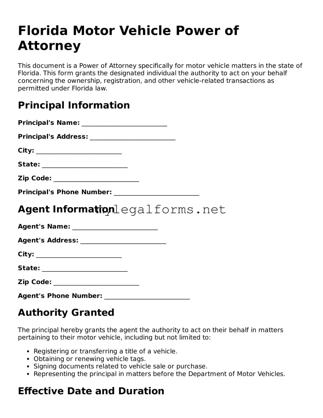 Motor Vehicle Power of Attorney Document for Florida State