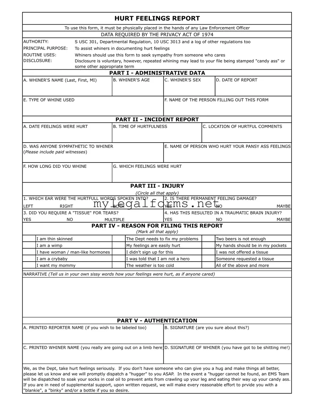 Hurt Feelings Report Template