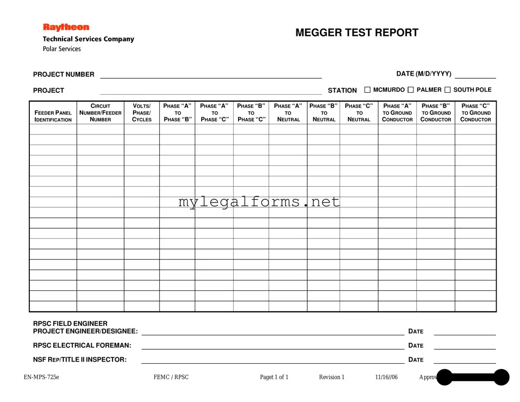 Megger Test Template