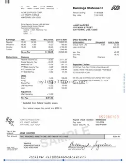 Adp Pay Stub Template