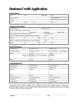 Business Credit Application Template