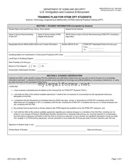 ICE I-983 Template