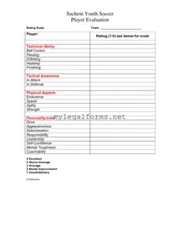 Soccer Player Evaluation Template