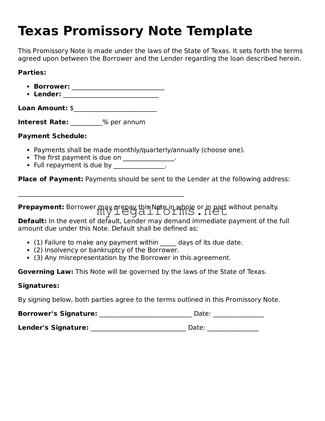 Promissory Note Document for Texas State